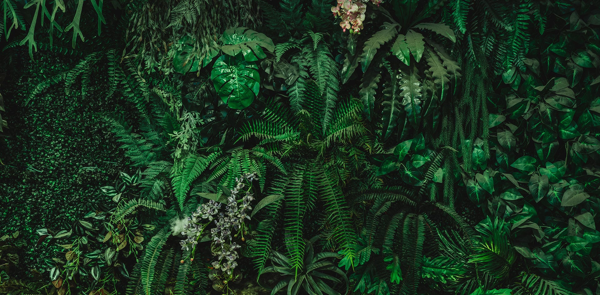 Responsible travel and sustainability